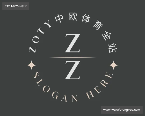 介绍zoty中欧体育
